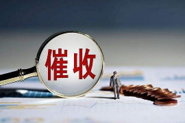 金山遇到恶意拖欠？专业追讨公司帮您解决烦恼