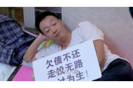 金山如何避免债务纠纷？专业追讨公司教您应对之策